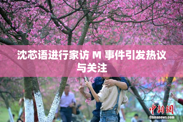沈芯语进行家访 M 事件引发热议与关注