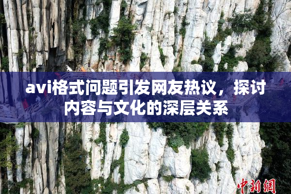 avi格式问题引发网友热议，探讨内容与文化的深层关系