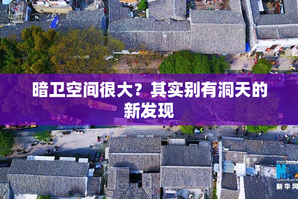 暗卫空间很大？其实别有洞天的新发现