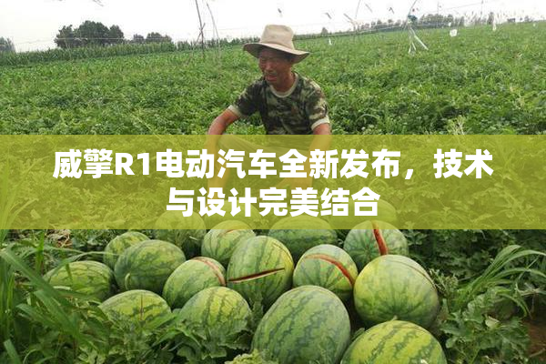 威擎R1电动汽车全新发布，技术与设计完美结合