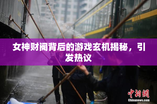 女神财阀背后的游戏玄机揭秘，引发热议
