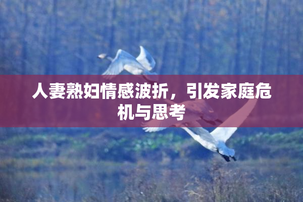 人妻熟妇情感波折，引发家庭危机与思考