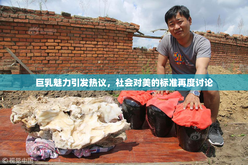 巨乳魅力引发热议，社会对美的标准再度讨论