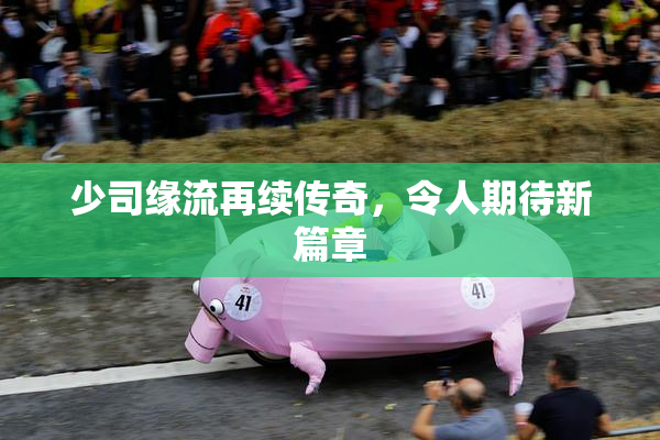 少司缘流再续传奇，令人期待新篇章