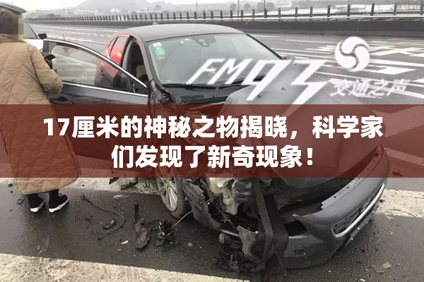 17厘米的神秘之物揭晓，科学家们发现了新奇现象！