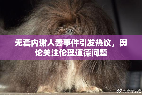 无套内谢人妻事件引发热议，舆论关注伦理道德问题