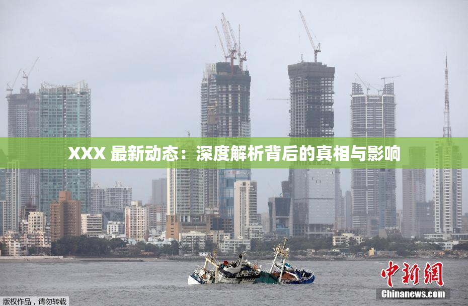 XXX 最新动态：深度解析背后的真相与影响
