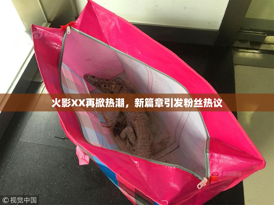 火影XX再掀热潮，新篇章引发粉丝热议