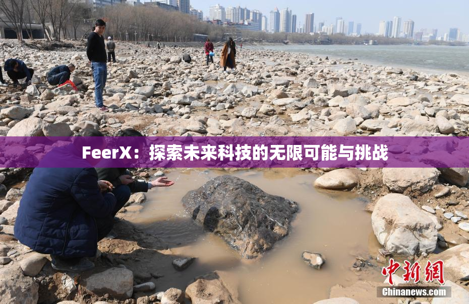 FeerX：探索未来科技的无限可能与挑战