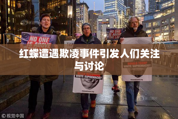 红蝶遭遇欺凌事件引发人们关注与讨论