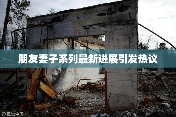 朋友妻子系列最新进展引发热议