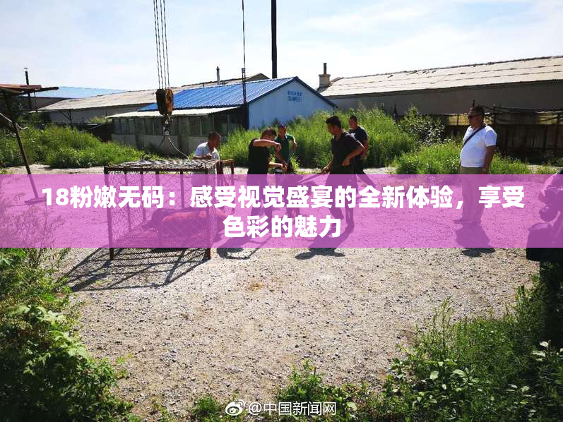 18粉嫩无码：感受视觉盛宴的全新体验，享受色彩的魅力