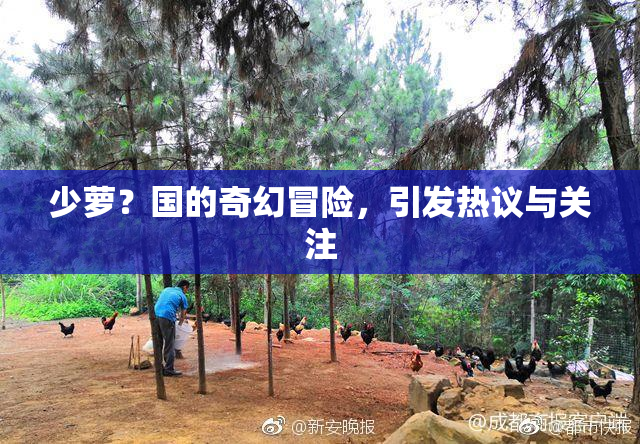 少萝？国的奇幻冒险，引发热议与关注