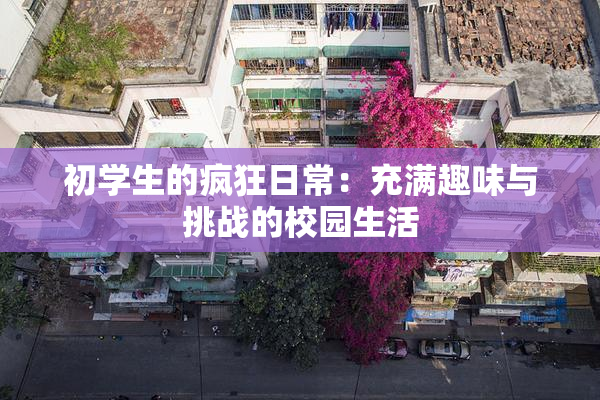 初学生的疯狂日常：充满趣味与挑战的校园生活