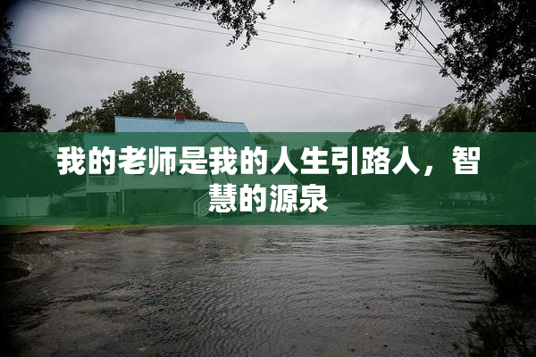 我的老师是我的人生引路人，智慧的源泉