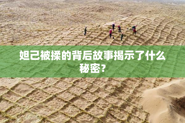 妲己被揉的背后故事揭示了什么秘密？