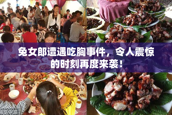 兔女郎遭遇吃胸事件，令人震惊的时刻再度来袭！