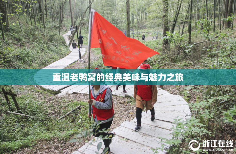 重温老鸭窝的经典美味与魅力之旅
