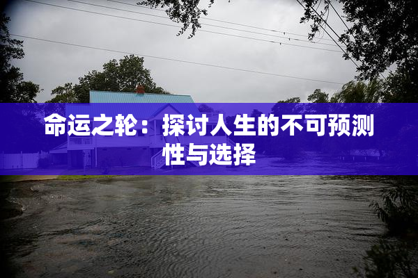 命运之轮：探讨人生的不可预测性与选择