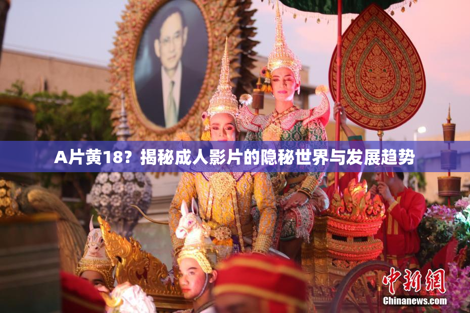 A片黄18？揭秘成人影片的隐秘世界与发展趋势