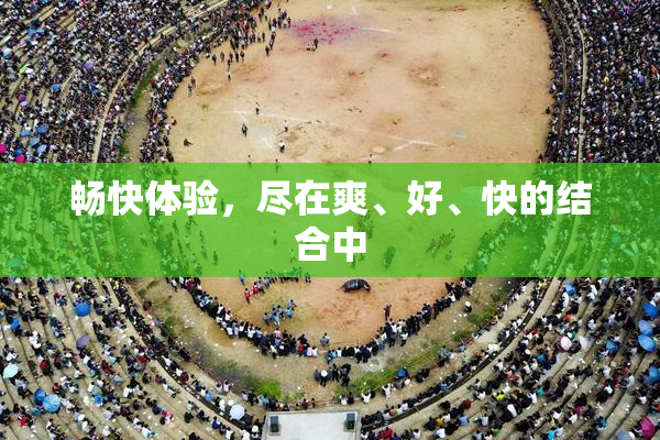 畅快体验，尽在爽、好、快的结合中