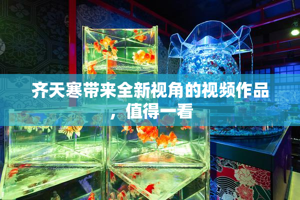 齐天寒带来全新视角的视频作品，值得一看