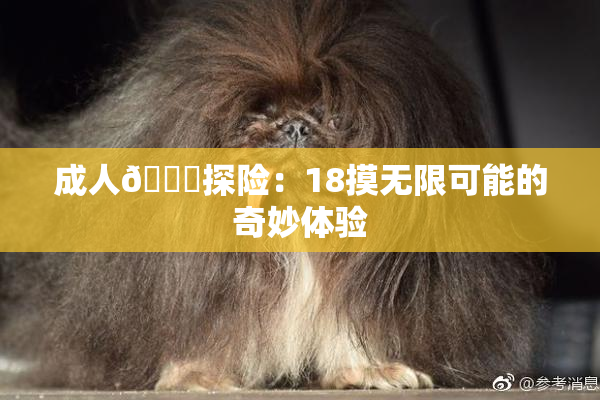 成人🍆探险：18摸无限可能的奇妙体验