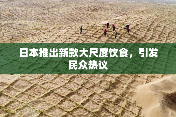 日本推出新款大尺度饮食，引发民众热议