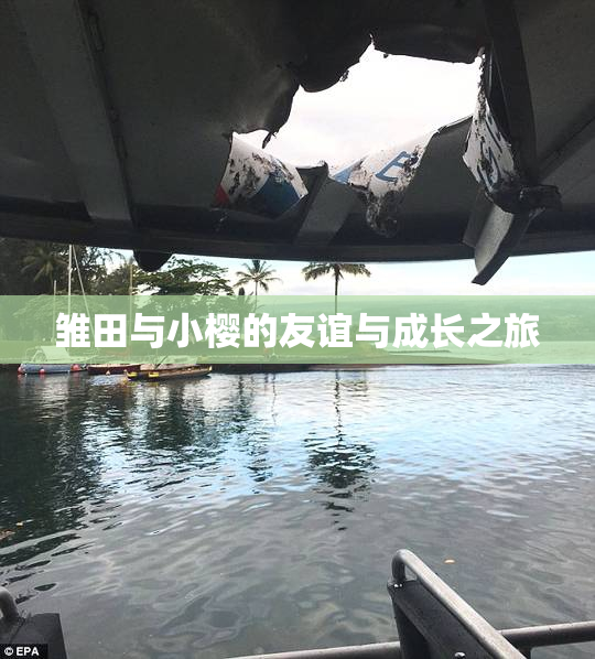 雏田与小樱的友谊与成长之旅