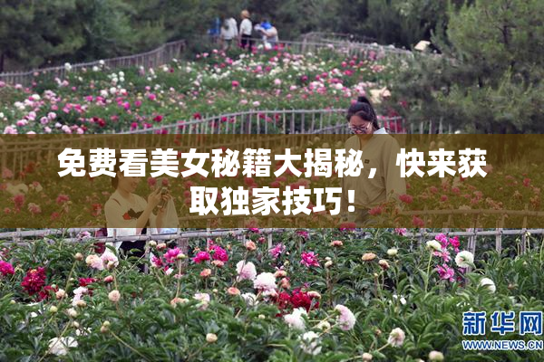 免费看美女秘籍大揭秘，快来获取独家技巧！