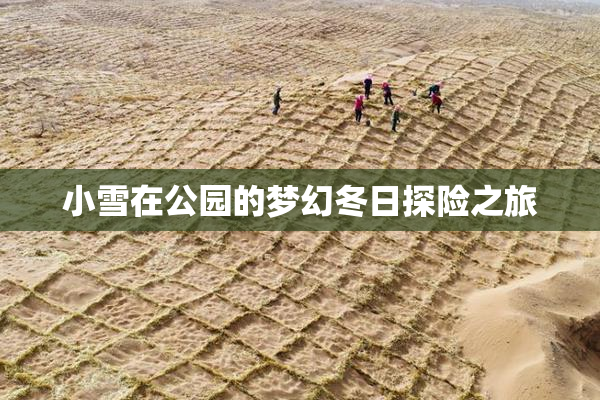 小雪在公园的梦幻冬日探险之旅