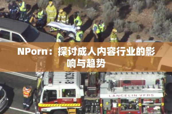 ΝPorn：探讨成人内容行业的影响与趋势