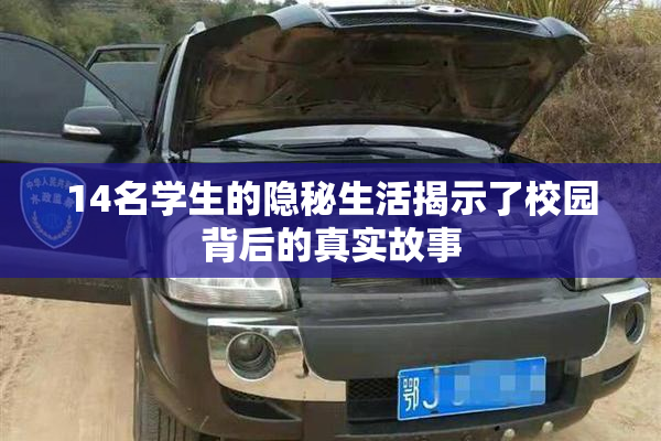 14名学生的隐秘生活揭示了校园背后的真实故事