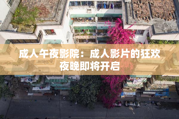 成人午夜影院：成人影片的狂欢夜晚即将开启