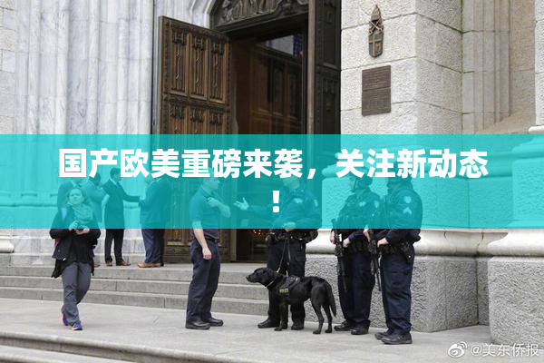 国产欧美重磅来袭，关注新动态！