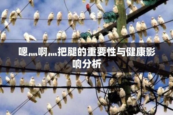 嗯灬啊灬把腿的重要性与健康影响分析