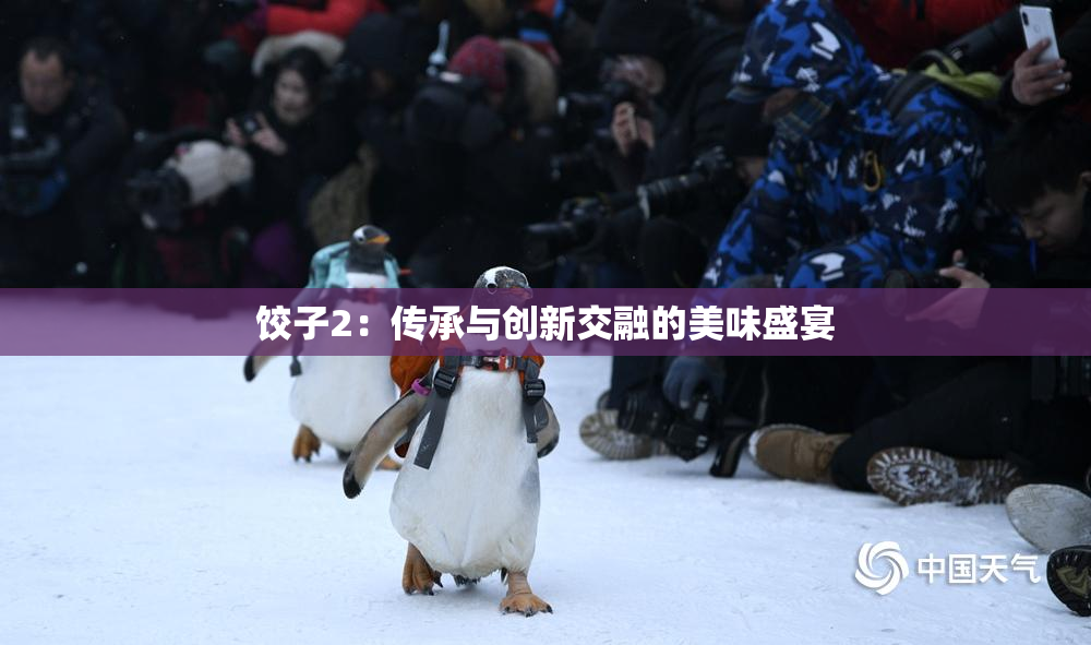 饺子2：传承与创新交融的美味盛宴