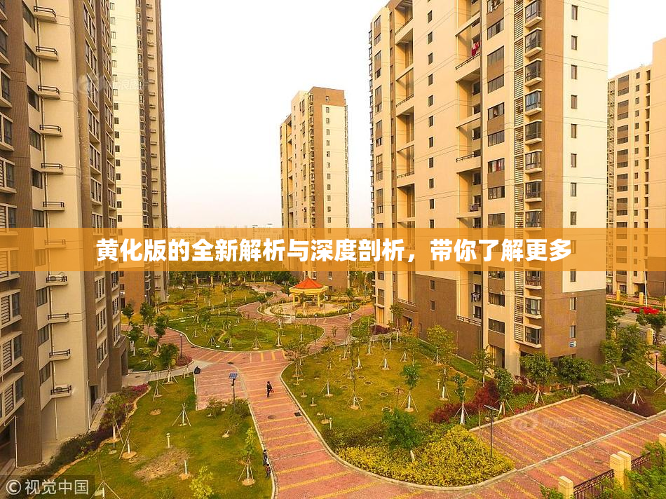 黄化版的全新解析与深度剖析，带你了解更多