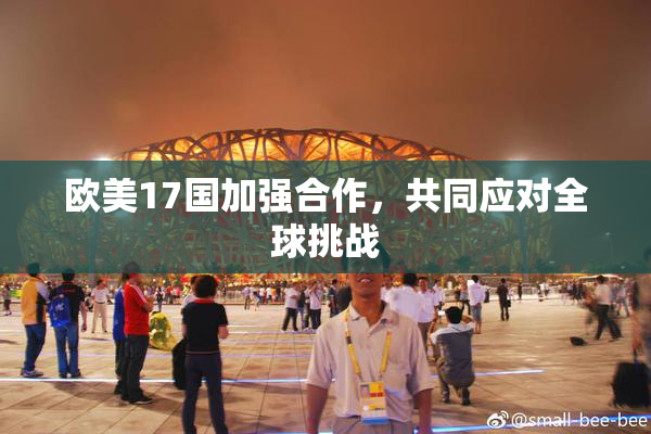 欧美17国加强合作，共同应对全球挑战