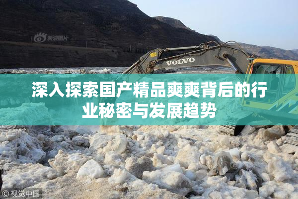 深入探索国产精品爽爽背后的行业秘密与发展趋势