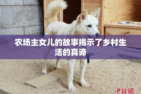 农场主女儿的故事揭示了乡村生活的真谛