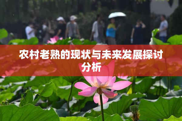 农村老熟的现状与未来发展探讨分析