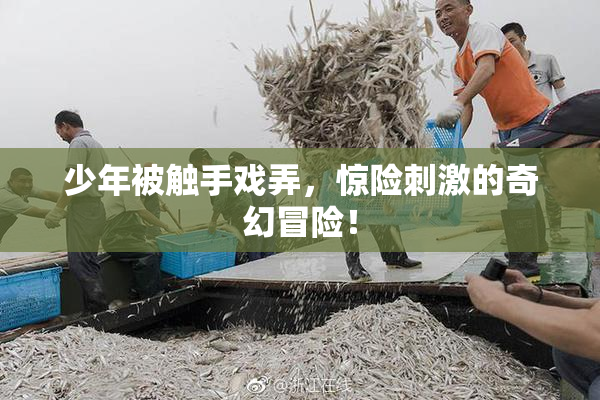 少年被触手戏弄，惊险刺激的奇幻冒险！