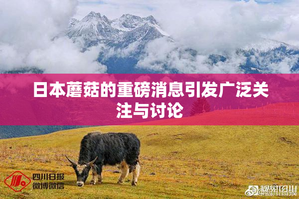 日本蘑菇的重磅消息引发广泛关注与讨论