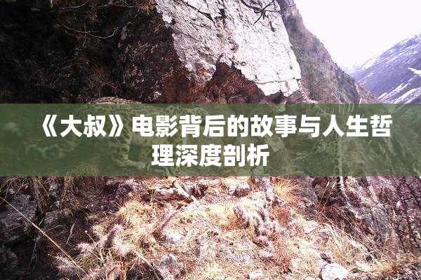 《大叔》电影背后的故事与人生哲理深度剖析