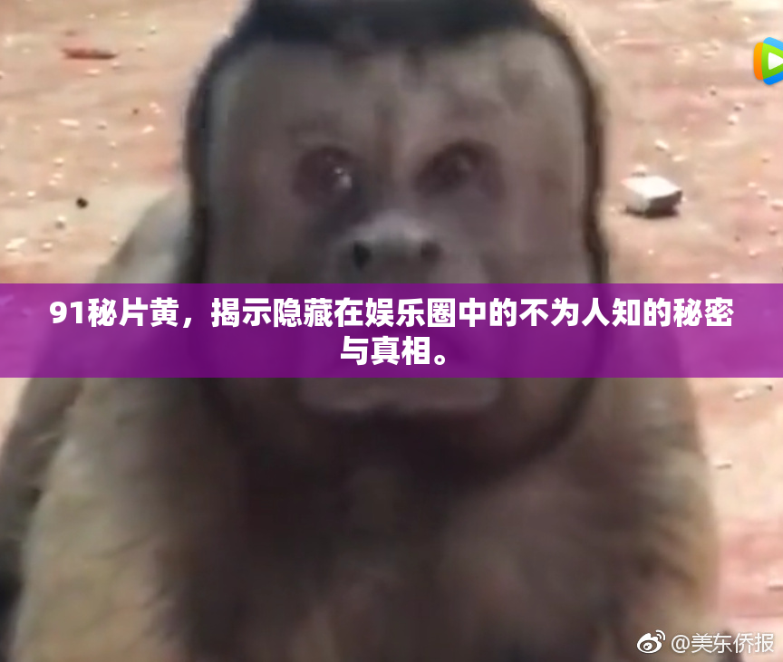 91秘片黄，揭示隐藏在娱乐圈中的不为人知的秘密与真相。