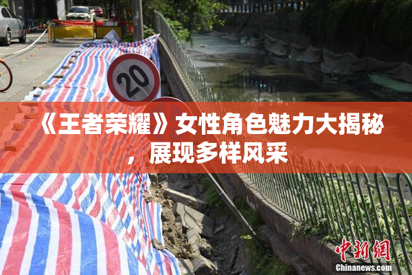 《王者荣耀》女性角色魅力大揭秘，展现多样风采