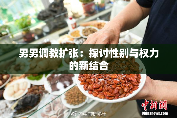 男男调教扩张：探讨性别与权力的新结合