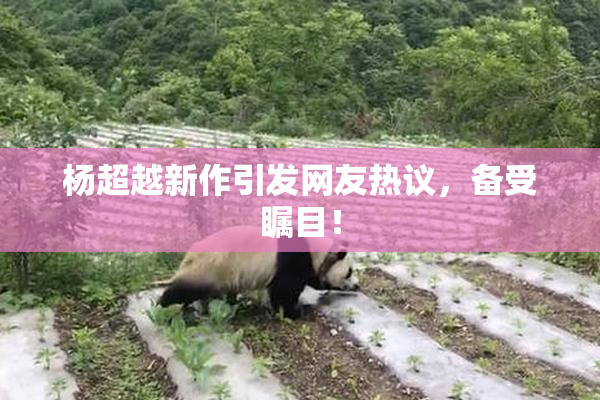 杨超越新作引发网友热议，备受瞩目！