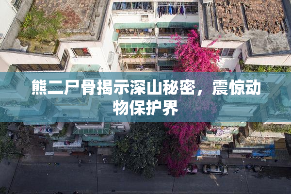 熊二尸骨揭示深山秘密，震惊动物保护界